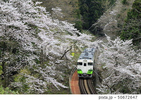 春の只見線 春の只見線 50672647