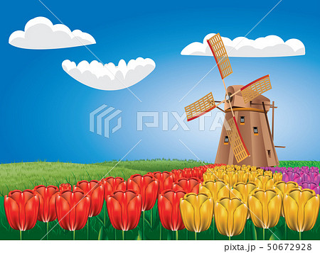 Windmill and Tulipsのイラスト素材 [50672928] - PIXTA