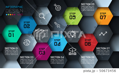 Business hexagon net labels shape infographic with 50673456