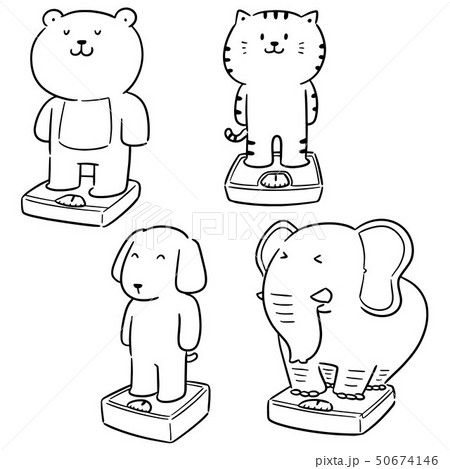 vector set of animal on weighing machine 50674146