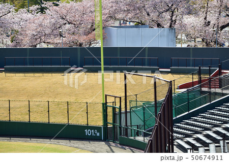 開成山野球場 開成山野球場 50674911
