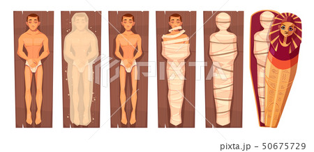 Egyptian mummy mummification process vector 50675729
