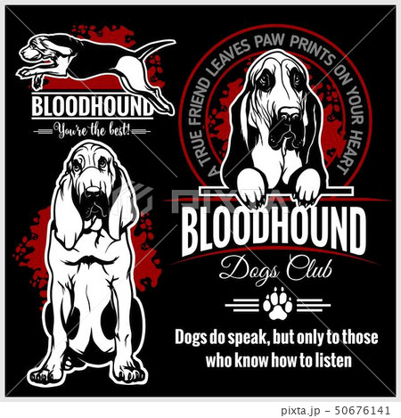 Bloodhound Vector Set For T Shirt Logo And のイラスト素材