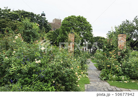 港の見える丘公園 港の見える丘公園 50677942
