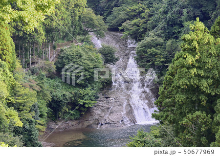 粟又の滝 養老渓谷 粟又の滝 養老渓谷 50677969