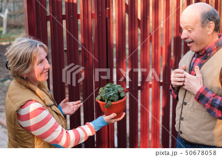 Two neighbors man and woman looking on new plant in pot. Two neighbors man and woman looking on new plant in pot. 50678058