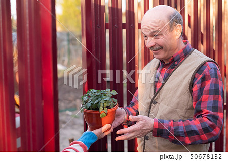 Mature caucasian man is happy to receive a gift from neighbor. Mature caucasian man is happy to receive a gift from neighbor. 50678132