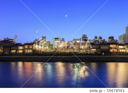 京都・春・鴨川の夜景 50678561