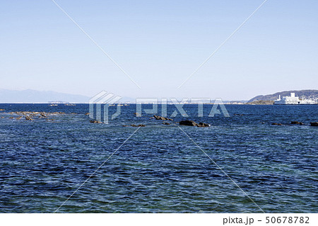 長井（春） 50678782