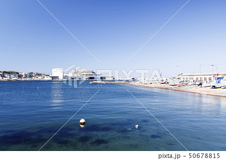 長井(春) 長井(春) 50678815