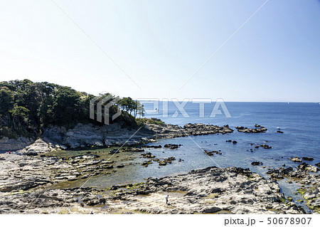 長井（春） 50678907