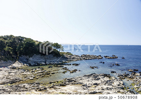 長井（春） 50678908