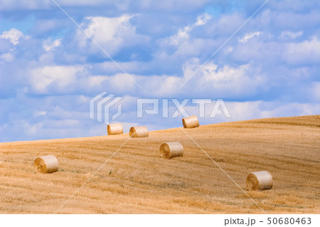 Haystacks on the Field 50680463