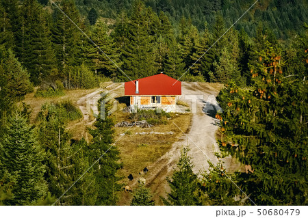 House in the Rhodopes Mountains House in the Rhodopes Mountains 50680479