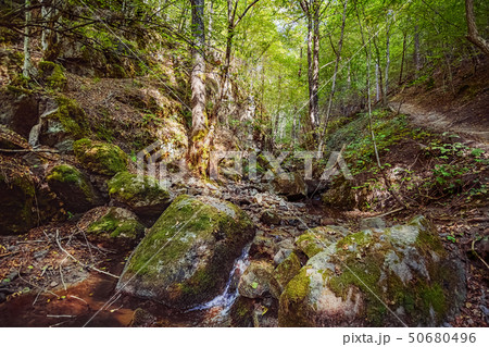 The Devin River Valley 50680496