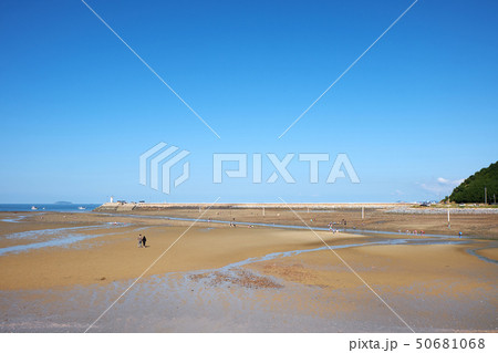 干潟体験 体験 コッチビーチ 50681068