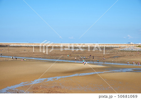 干潟体験 体験 コッチビーチ 50681069