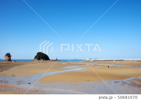 干潟体験 体験 コッチビーチ 50681070