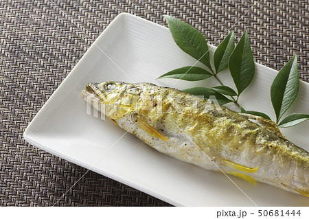 鮎の塩焼き11 鮎の塩焼き11 50681444