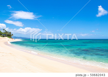 ハワイ　オアフ島　ノースショア　サンセット・ビーチ 50682043