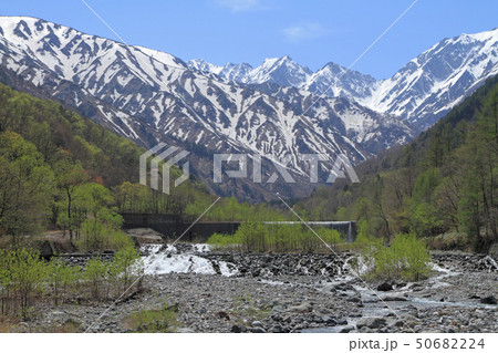 5月の北アルプス後立山連峰　不帰ノ嶮 50682224