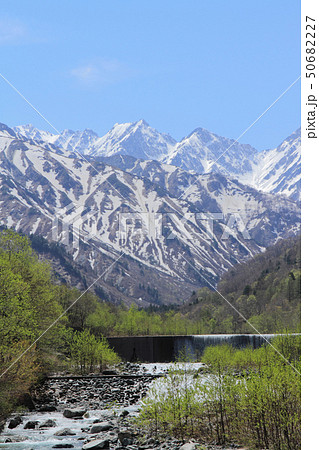 5月の北アルプス後立山連峰　不帰ノ嶮 50682227