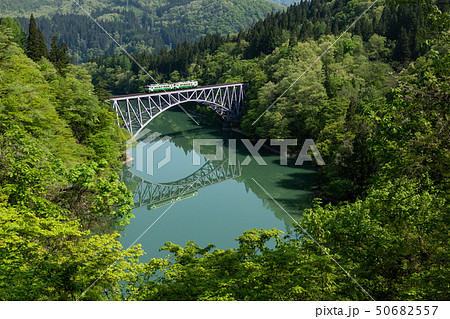 新緑の只見線 50682557