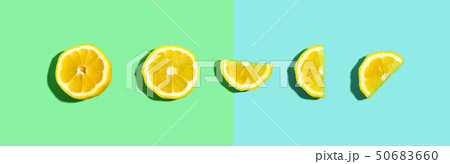 Fresh lemon pattern 50683660