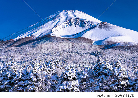 《静岡県》富士山と大雪原と樹氷 50684279