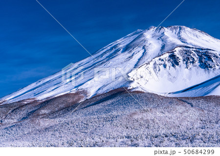 《静岡県》富士山と大雪原と樹氷 50684299