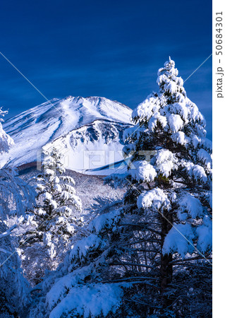 《静岡県》富士山と大雪原と樹氷 50684301