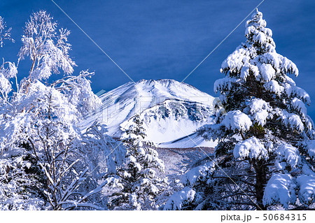 《静岡県》富士山と大雪原と樹氷 《静岡県》富士山と大雪原と樹氷 50684315