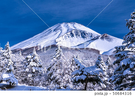 《静岡県》富士山と大雪原と樹氷 《静岡県》富士山と大雪原と樹氷 50684316
