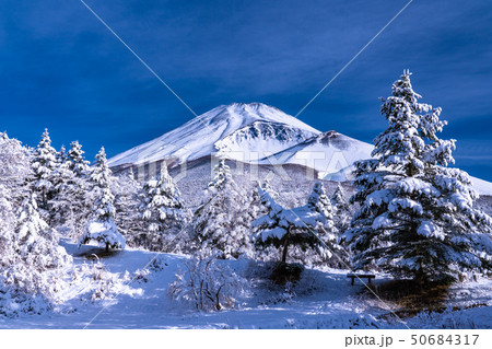 《静岡県》富士山と大雪原と樹氷 50684317