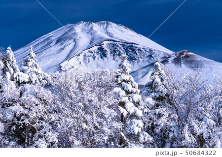 《静岡県》富士山と大雪原と樹氷 50684322