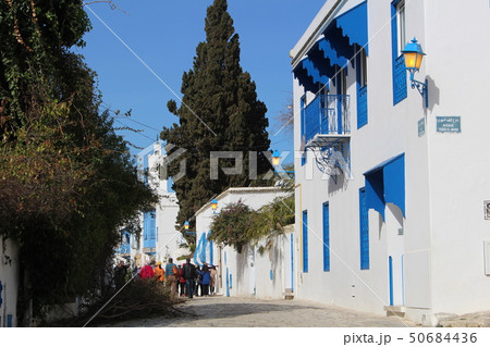 シディ・ブ・サイドの町並み　チュニジア　チュニス　アフリカ 50684436