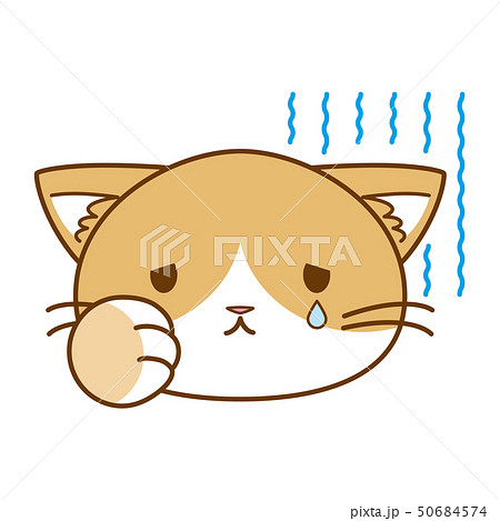 スタンプ風アイコン 猫「かなしい」 スタンプ風アイコン 猫「かなしい」 50684574