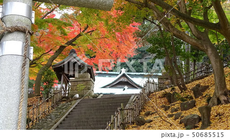 温泉神社(福島県・いわき市湯本) 温泉神社(福島県・いわき市湯本) 50685515