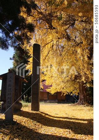 新選組殉難の地・如来堂(福島県・会津若松市) 新選組殉難の地・如来堂(福島県・会津若松市) 50685593