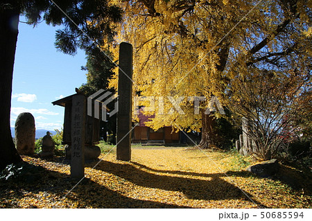 新選組殉難の地・如来堂(福島県・会津若松市) 新選組殉難の地・如来堂(福島県・会津若松市) 50685594