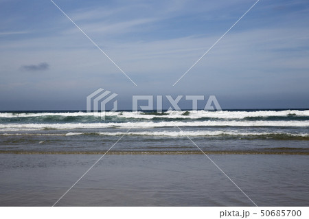 ラホヤ　サンディエゴ　カリフォルニア 50685700