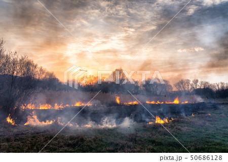 Fires sunset landscape Fires sunset landscape 50686128