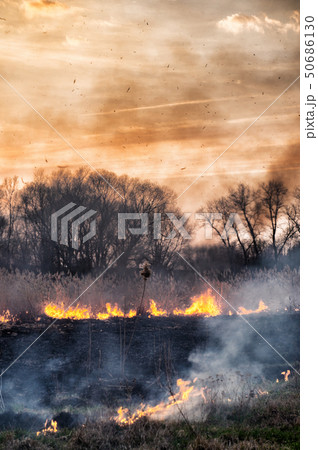 Fires sunset landscape 50686130