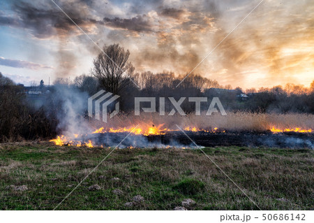 Fires sunset landscape 50686142