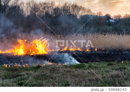 Fires sunset landscape Fires sunset landscape 50686143