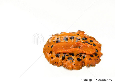 クモガタウミウシ 50686775