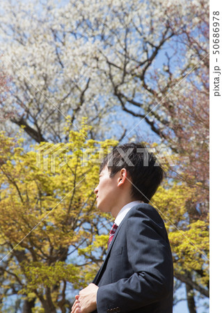 春 若葉の頃 ビジネスイメージ 春 若葉の頃 ビジネスイメージ 50686978