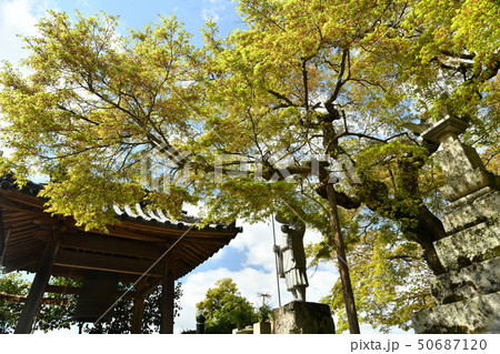 岡山県矢掛町の囶勝寺 岡山県矢掛町の囶勝寺 50687120