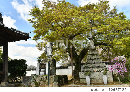 岡山県矢掛町の囶勝寺 岡山県矢掛町の囶勝寺 50687122