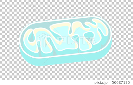 線粒體切掉的線粒體傳染媒介例證 50687150